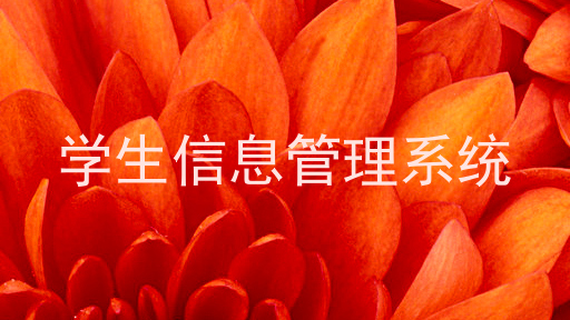学生信息管理系统