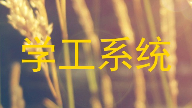 学工系统