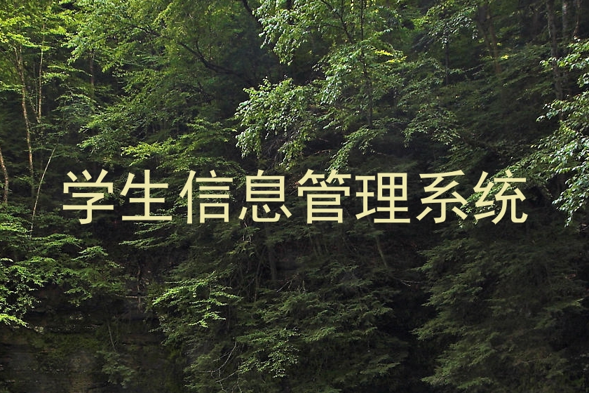 学生信息管理系统