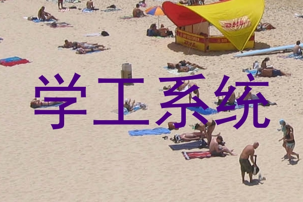 学工系统
