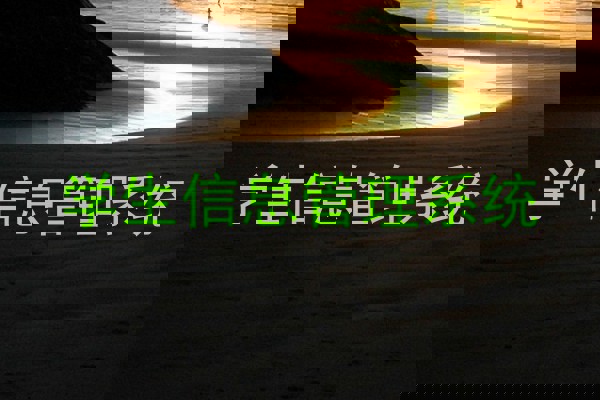 学生信息管理系统