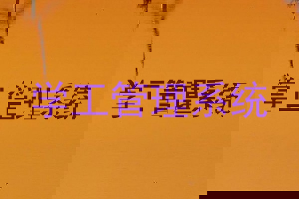 学工管理系统
