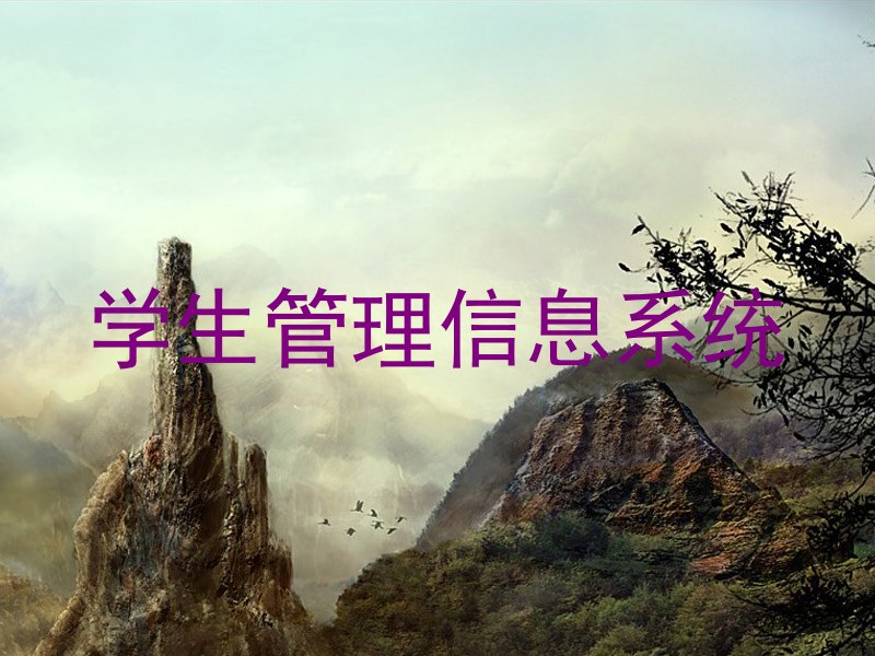 学生管理信息系统