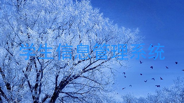 学生信息管理系统