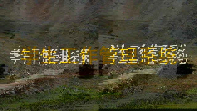 学生工作管理系统