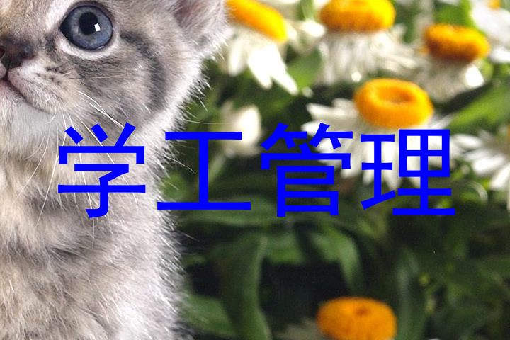 学工管理