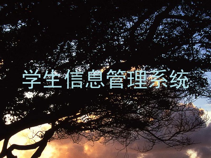 学生信息管理系统