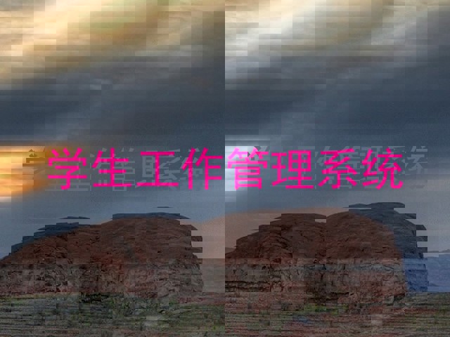 学生工作管理系统
