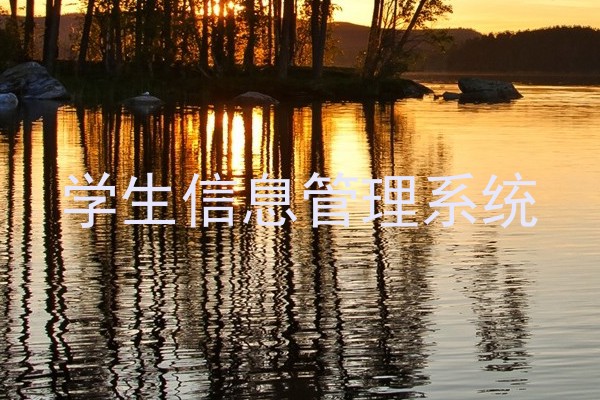 学生信息管理系统