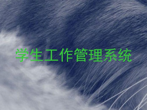 学生工作管理系统