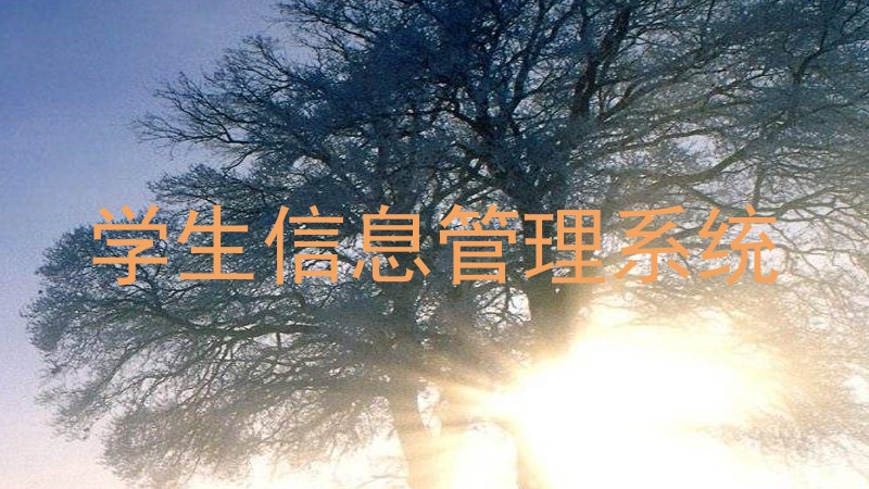 学生信息管理系统