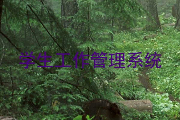 学生工作管理系统