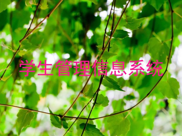 学生管理信息系统