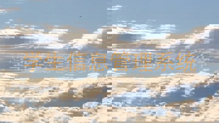 学生信息管理系统