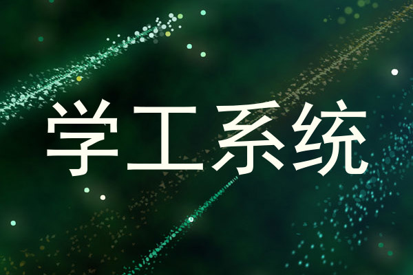 学工系统
