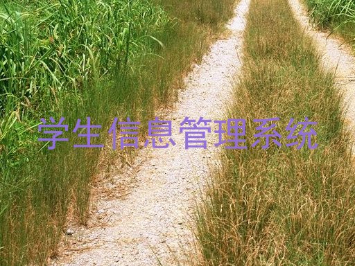 学生信息管理系统