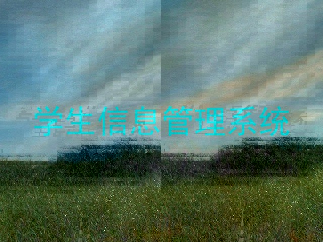 学生信息管理系统