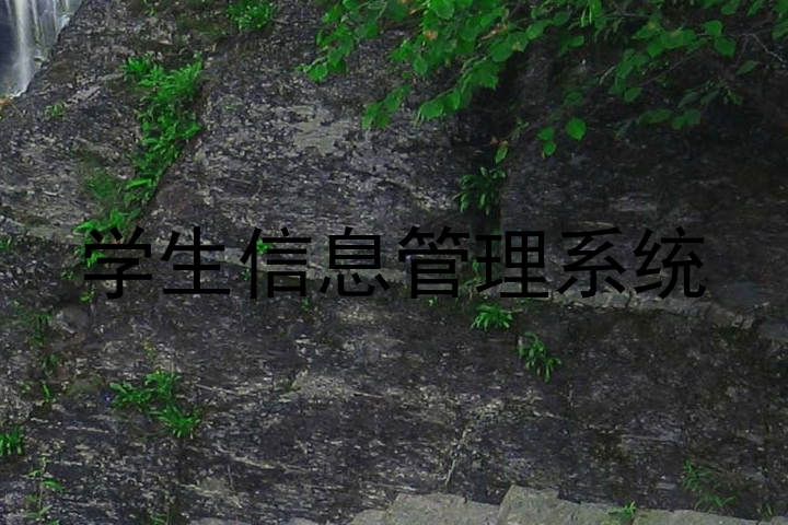 学生信息管理系统