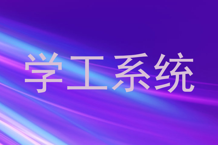 学工系统
