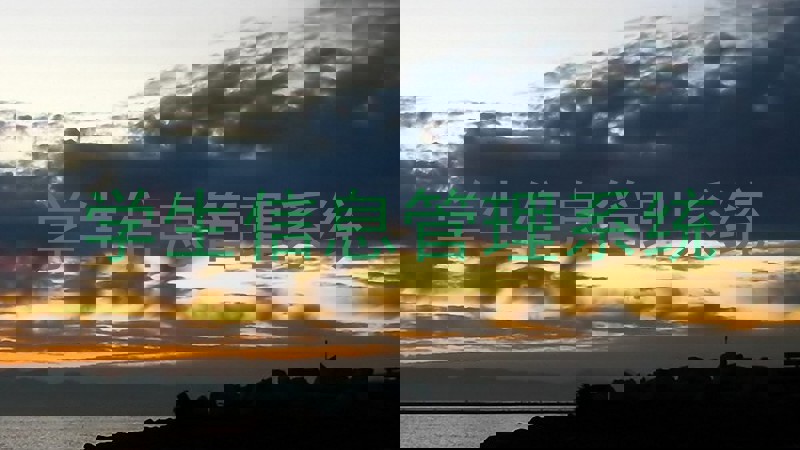 学生信息管理系统