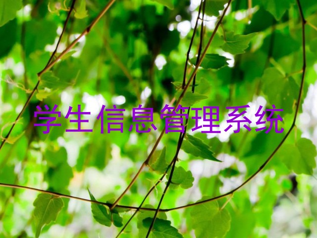 学生信息管理系统