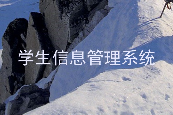 学生信息管理系统