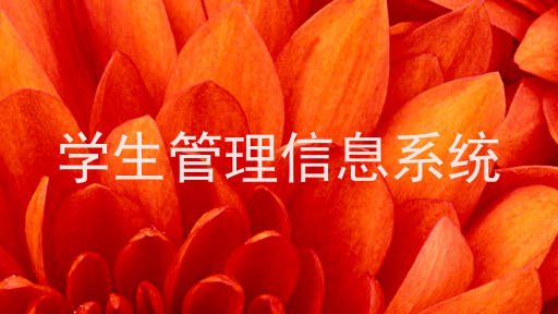 学生管理信息系统