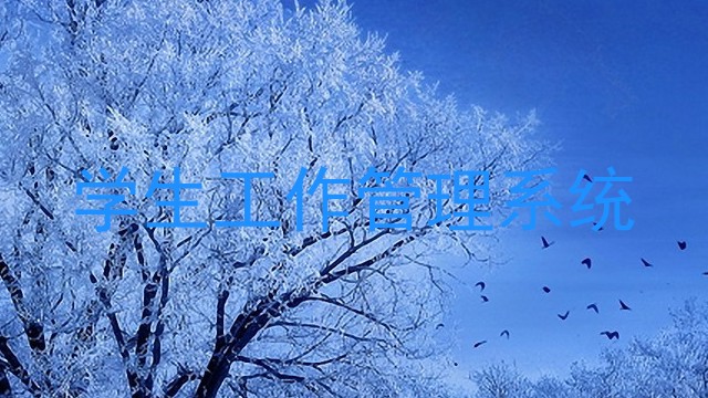 学生工作管理系统