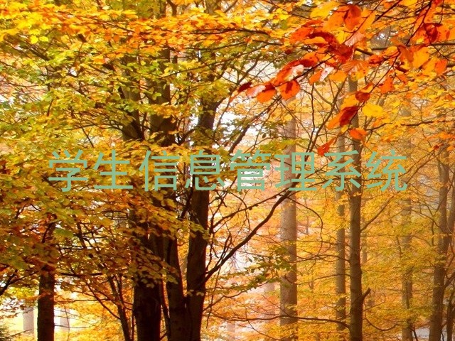 学生信息管理系统