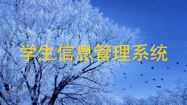 学生信息管理系统