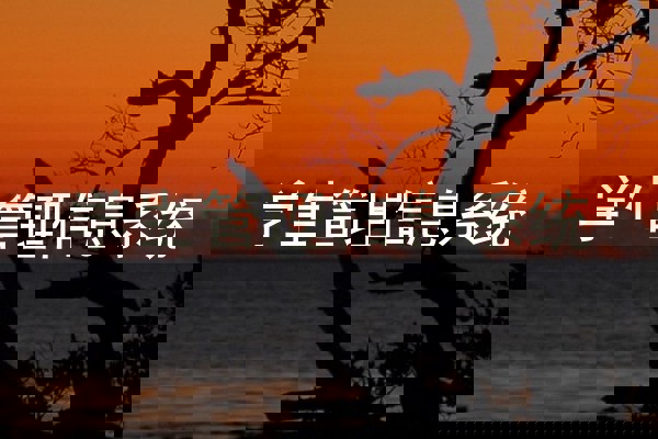 学生管理信息系统
