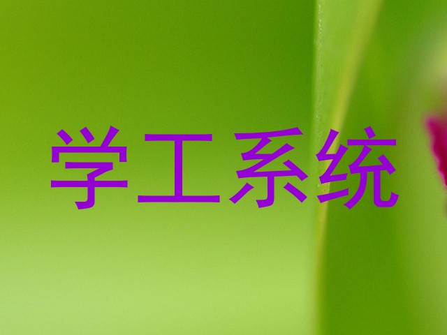 学工系统
