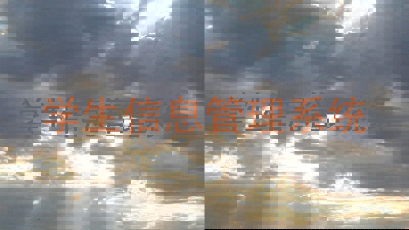 学生信息管理系统