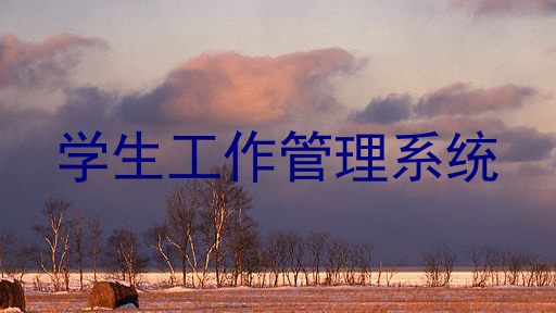 学生工作管理系统