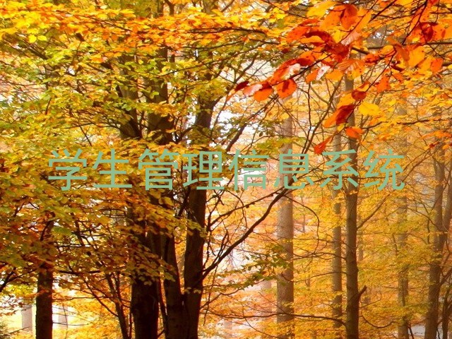 学生管理信息系统
