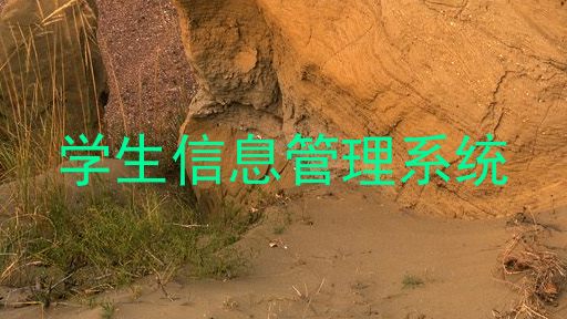 学生信息管理系统