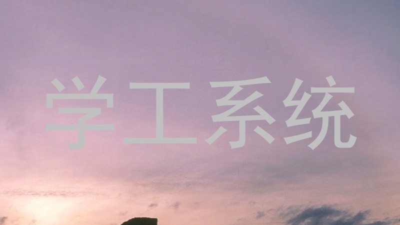 学工系统