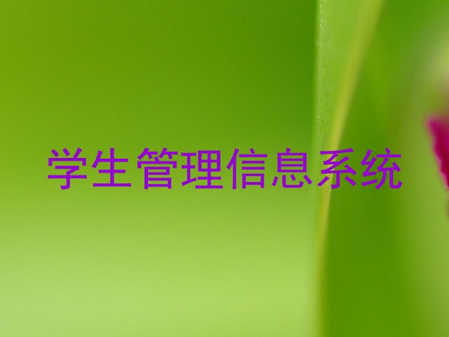 学生管理信息系统