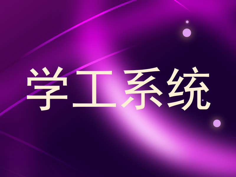 学工系统