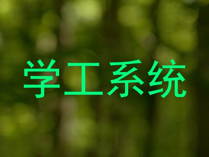 学工系统