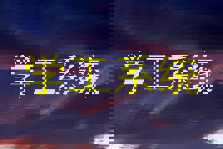 学工系统