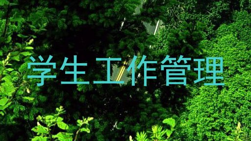 学生工作管理