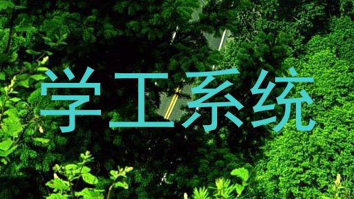 学工系统
