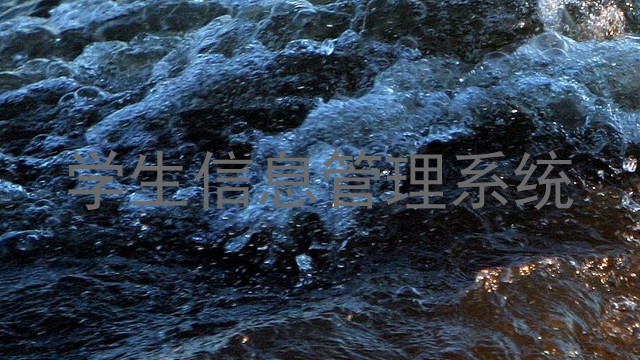 学生信息管理系统