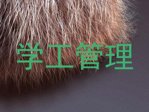学工管理