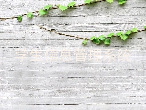 学生信息管理系统