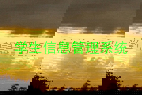 学生信息管理系统