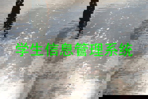 学生信息管理系统