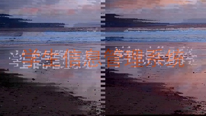 学生信息管理系统