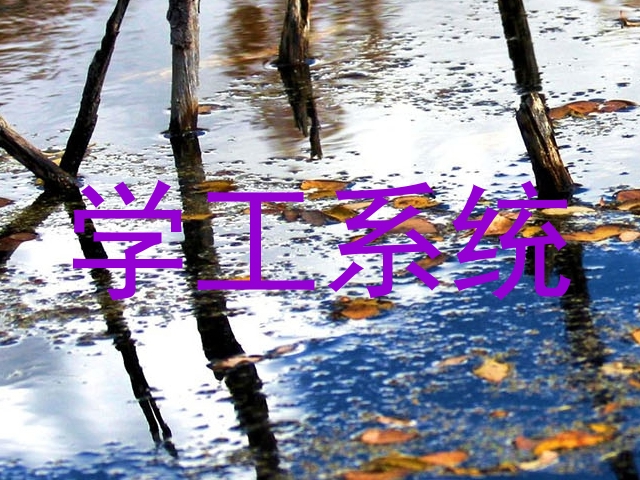 学工系统